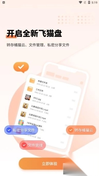 飞猫盘-图4