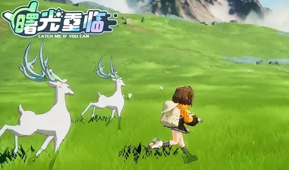 曙光重临高品质宠物培育指南