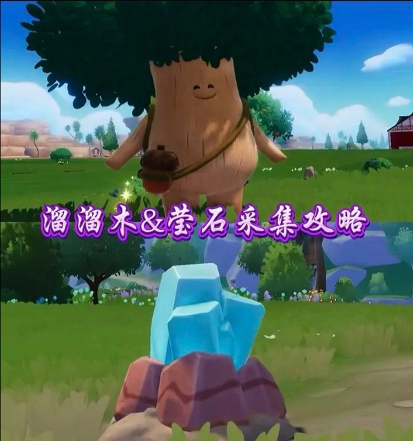 11月1日心动小镇溜溜橡木与无暇荧石的具体位置