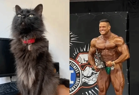 巴西31岁健美冠军突发中风离世或因爱猫去世过度悲伤所致