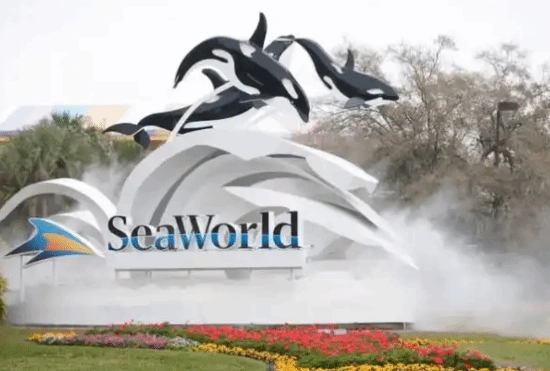 女子乘坐过山车时遭飞鸭撞击，向海洋乐园提出5万美元索赔