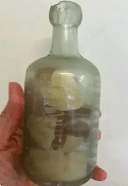 109年前士兵投放的漂流瓶现世亲属称这是一场“奇迹般的重逢”