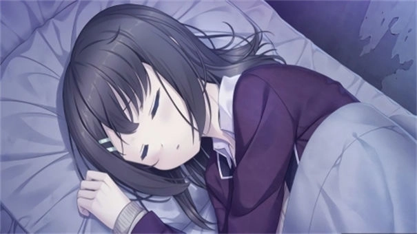 我和她的世界末日汉化版2