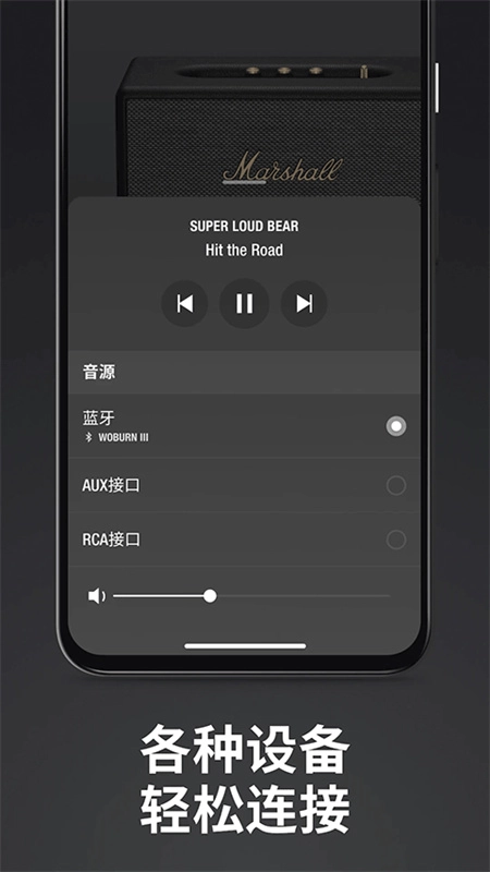 Marshall Bluetooth通用版图3