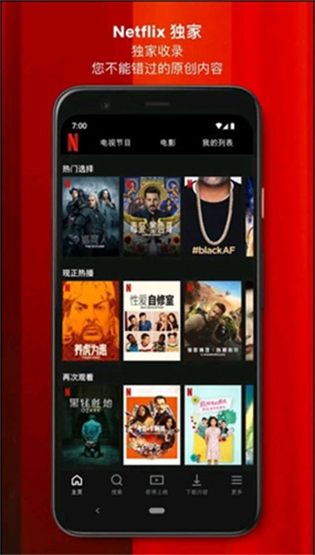 Netflix图2