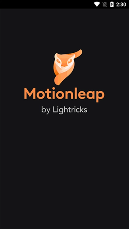 motionleap4