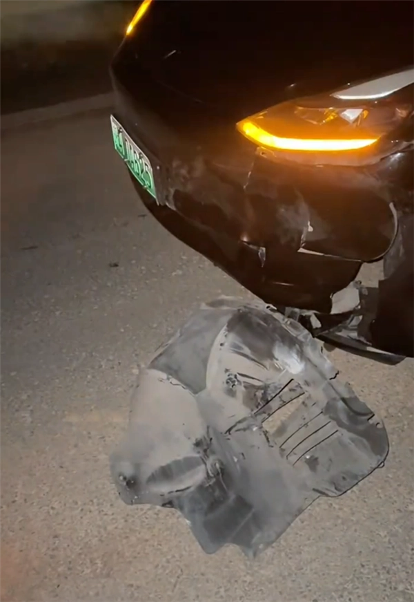 特斯拉车辆撞死闯入国道的野猪：车主被判定承担全部责任行车记录仪视频已公开