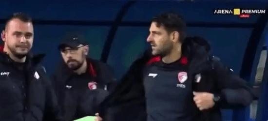 塞尔维亚球队主教练日若维奇在球场突发心脏病离世