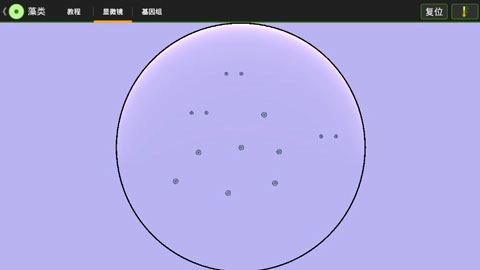 细胞实验室汉化版(3)