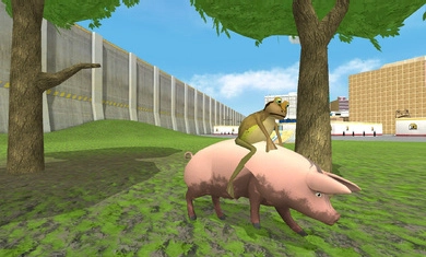 神奇青蛙手机版