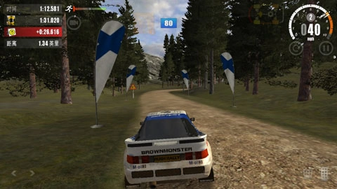 rush rally3正版(3)
