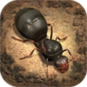 小小蚁国国际服 v3.61.0