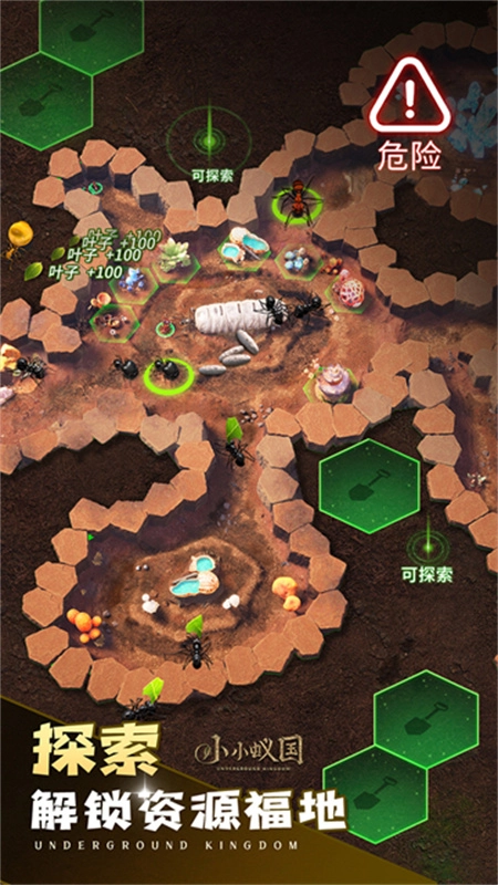 小小蚁国国际服图2