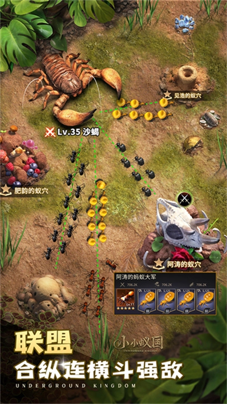 小小蚁国国际服图5