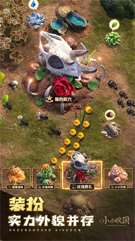 小小蚁国国际服图4