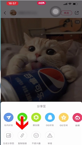 小红书国际版手机下载