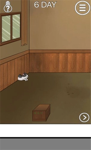 我的猫咪找不到了图2