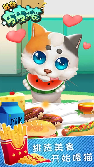 我的皮皮猫正版5