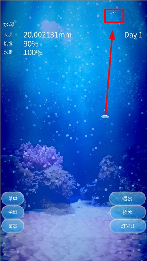 养育水母的治愈游戏安装下载