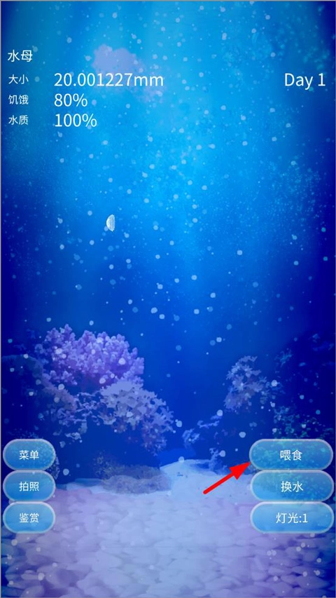 养育水母的治愈游戏安装下载