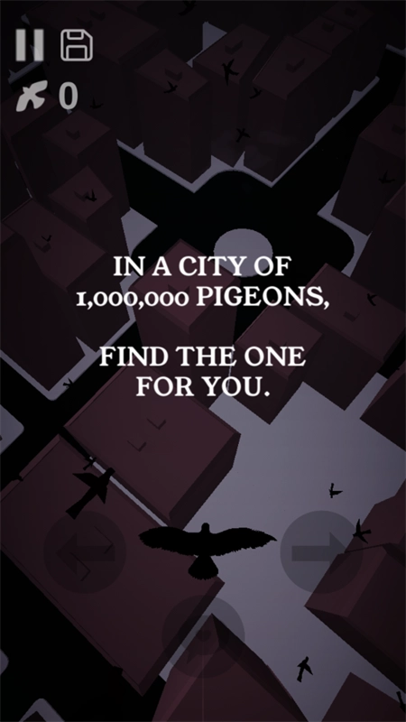 鸽子爱情故事图2