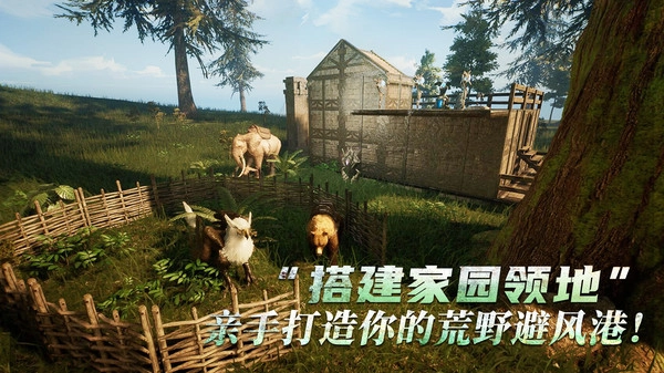 黑光生存进化国际服图1