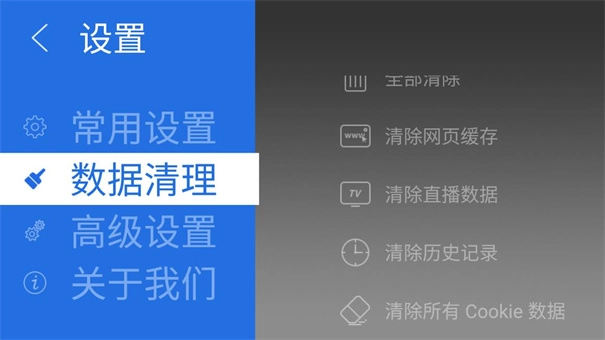 飞视浏览器TV版图3
