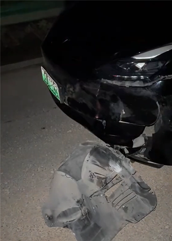 特斯拉车主在国道撞死野猪，被判定承担全部责任！此前曾有车主在高速上撞野猪并获得了赔偿