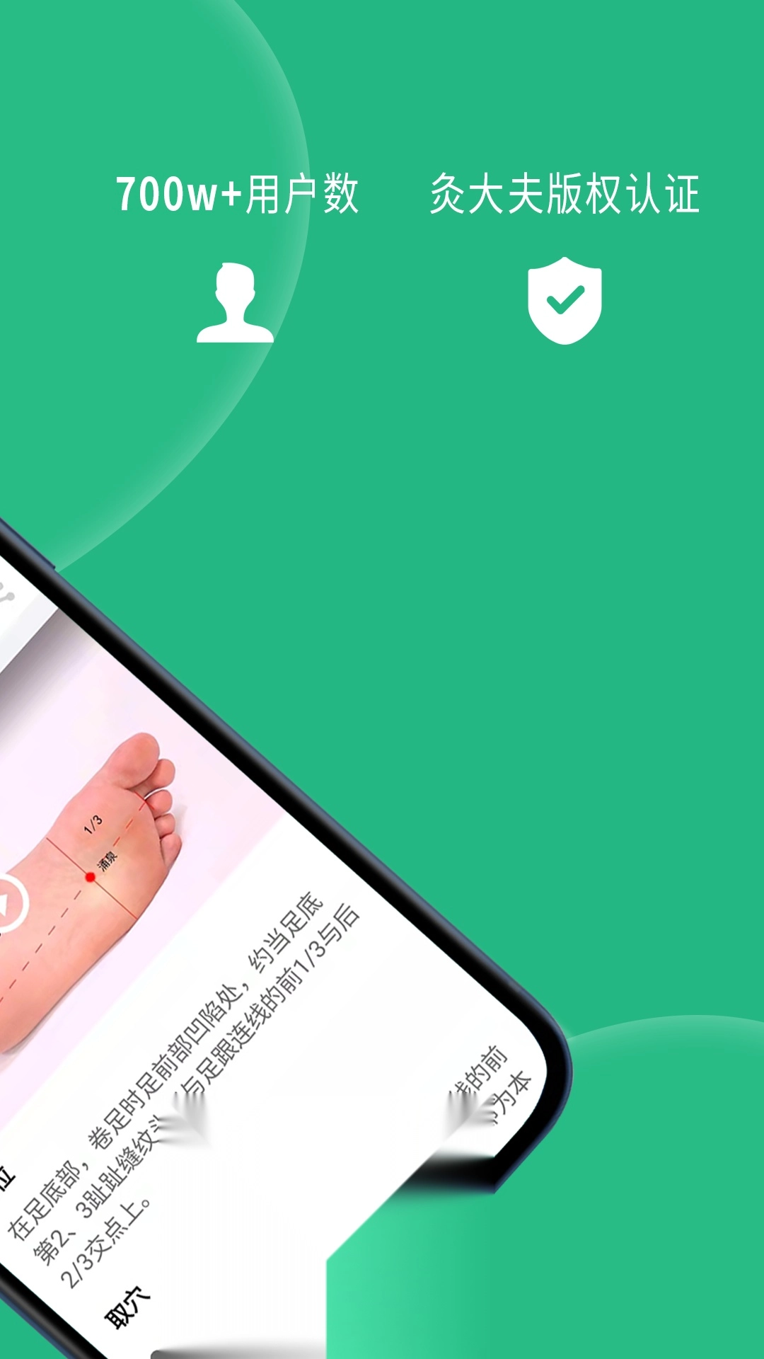 经络穴位图解图2