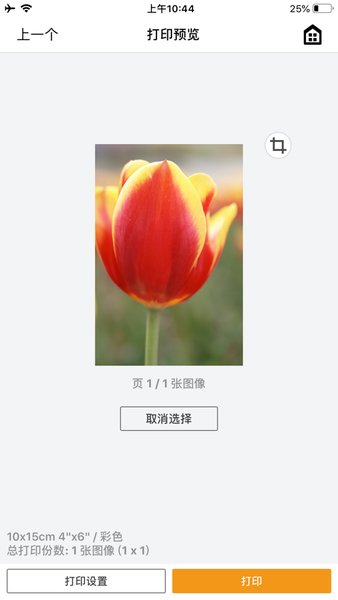 SELPHY Photo Layout(佳能相片打印软件)