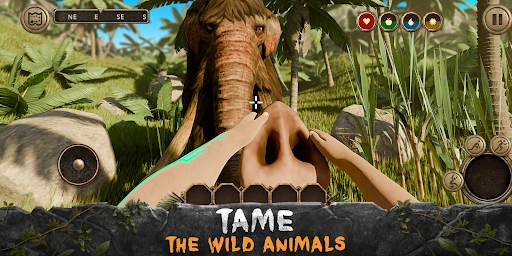 荒岛求生进化正版图4