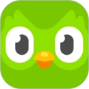 多邻国免费学英语