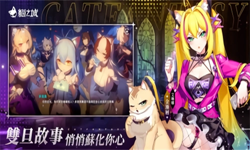 猫之城台服(1)