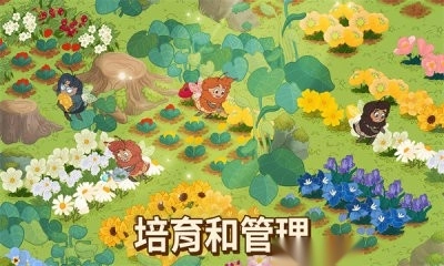 蜜蜂园林图1