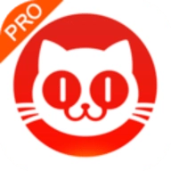 猫眼票房专业版