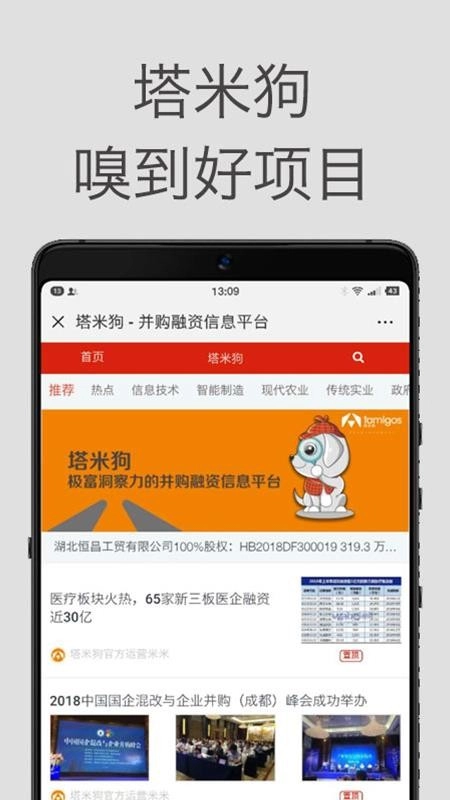 塔米狗图1