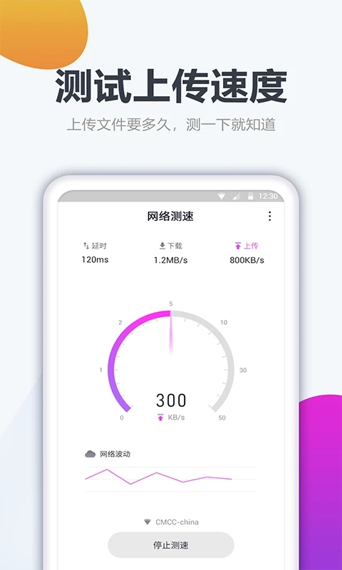 测网速大师最新免费版图2