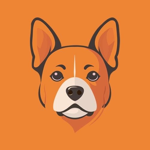 皮皮影视最新免费版