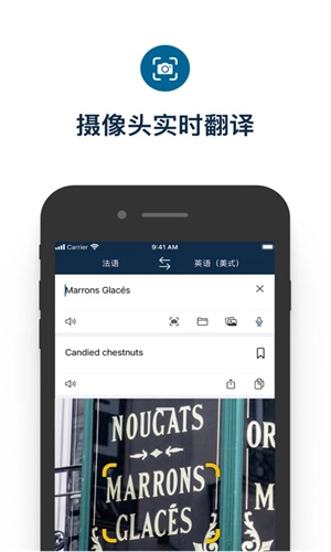 Deepl手机最新版图1