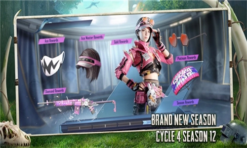 绝地求生正式服图2