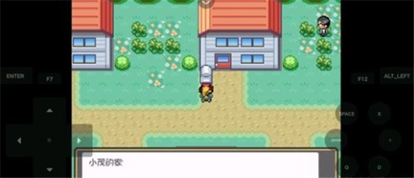 口袋妖怪娘化版图4