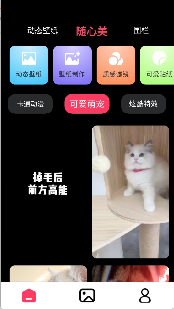 火花实况壁纸图3