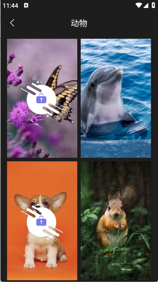 主题壁纸精选图1