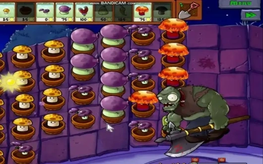 植物大战僵尸屋顶版1