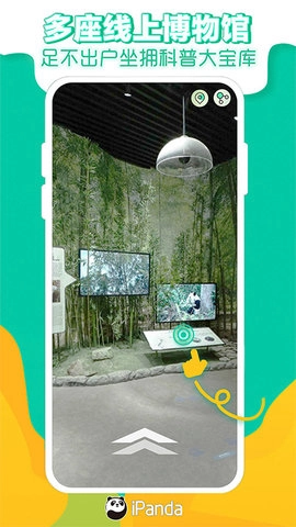 熊猫频道原版图5