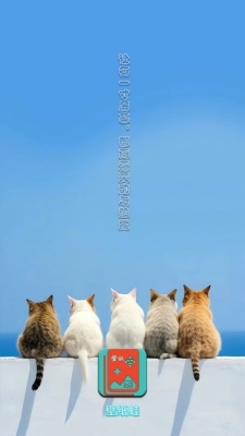 壁纸蛙官方版图3