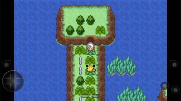 口袋妖怪生与死(2)