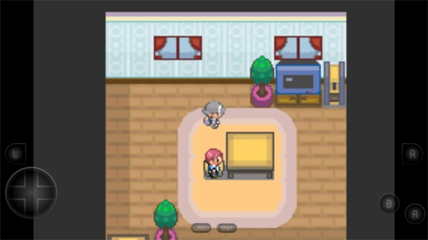 口袋妖怪生与死(3)