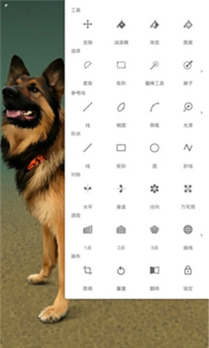 Painter免费原版图1