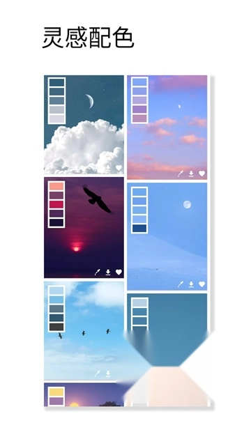 观色配色手机免费版图4